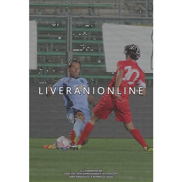 bergamo, stadio atleti azzurri d\'italia, 08 settembre 2013, nella foto REGONESI PIERRE GIORGIO ,ph.moro/ALDO LIVERANI