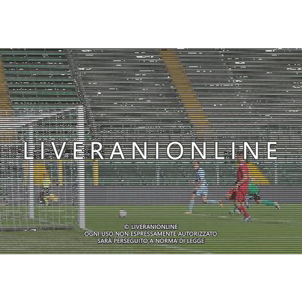 bergamo, stadio atleti azzurri d\'italia, 08 settembre 2013, nella foto PESENTI MASSIMILIANO gol ,ph.moro/ALDO LIVERANI