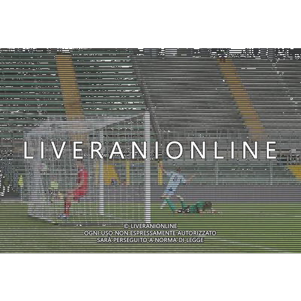 bergamo, stadio atleti azzurri d\'italia, 08 settembre 2013, nella foto PESENTI MASSIMILIANO gol ,ph.moro/ALDO LIVERANI