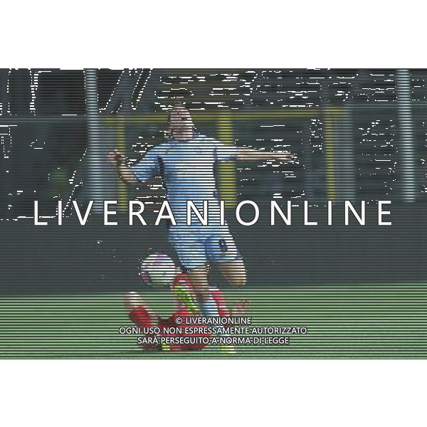 bergamo, stadio atleti azzurri d\'italia, 08 settembre 2013, nella foto PESENTI MASSIMILIANO ,ph.moro/ALDO LIVERANI