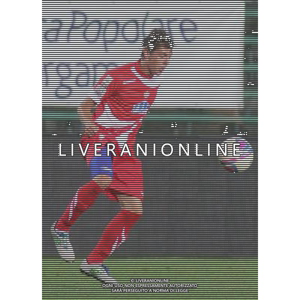 bergamo, stadio atleti azzurri d\'italia, 08 settembre 2013, nella foto FRANCESCO VASSALLO ,ph.moro/ALDO LIVERANI