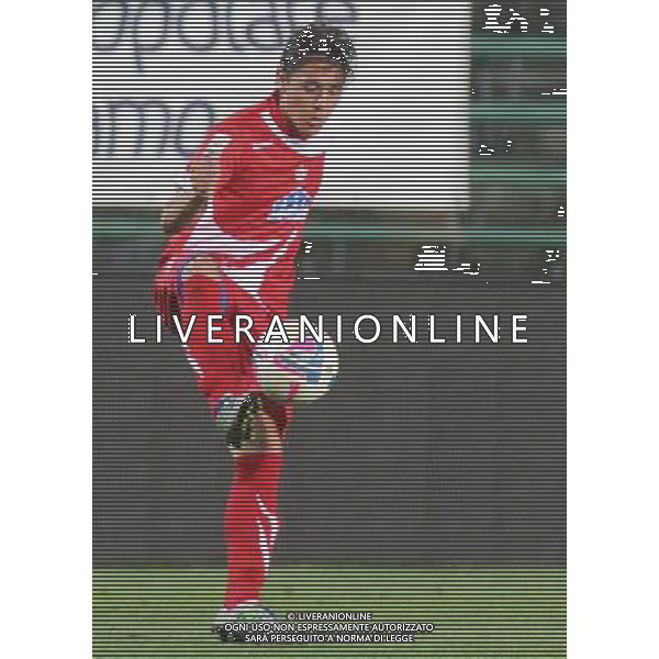 bergamo, stadio atleti azzurri d\'italia, 08 settembre 2013, nella foto FRANCESCO VASSALLO ,ph.moro/ALDO LIVERANI