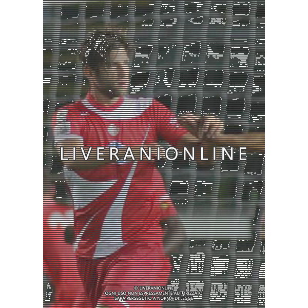 bergamo, stadio atleti azzurri d\'italia, 08 settembre 2013, nella foto ALESSANDRO BASSOLI ,ph.moro/ALDO LIVERANI