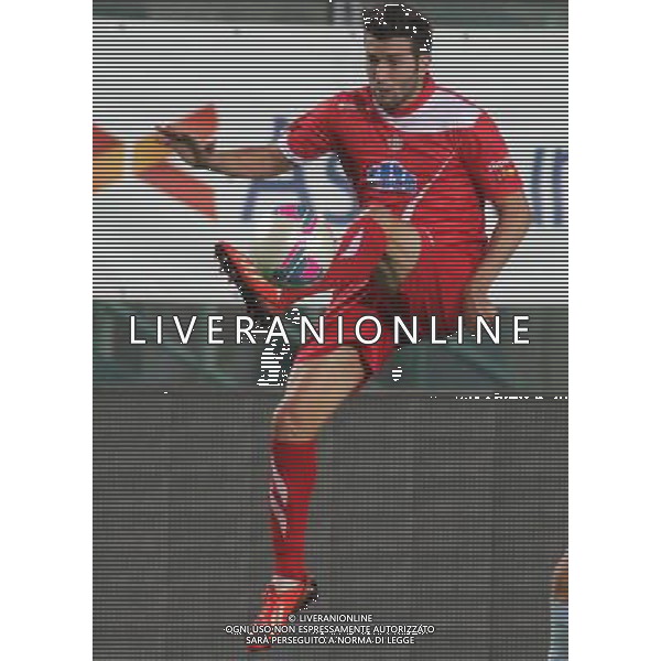 bergamo, stadio atleti azzurri d\'italia, 08 settembre 2013, nella foto MARCO MARTIN ,ph.moro/ALDO LIVERANI