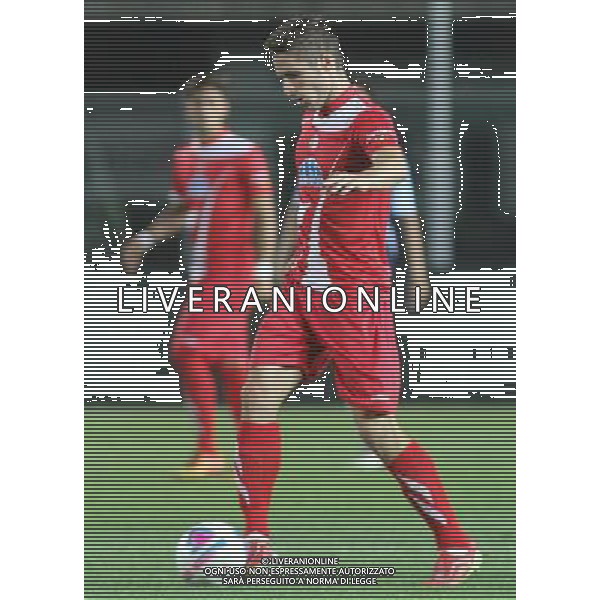 bergamo, stadio atleti azzurri d\'italia, 08 settembre 2013, nella foto DANIEL CAPPELLETTI ,ph.moro/ALDO LIVERANI