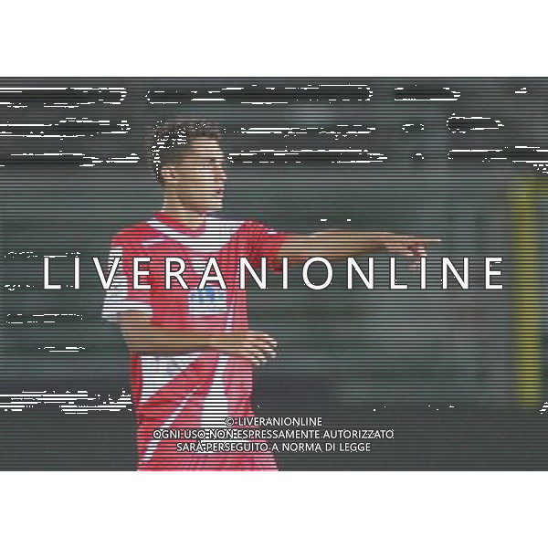 bergamo, stadio atleti azzurri d\'italia, 08 settembre 2013, nella foto PIERLUIGI BASTONE ,ph.moro/ALDO LIVERANI