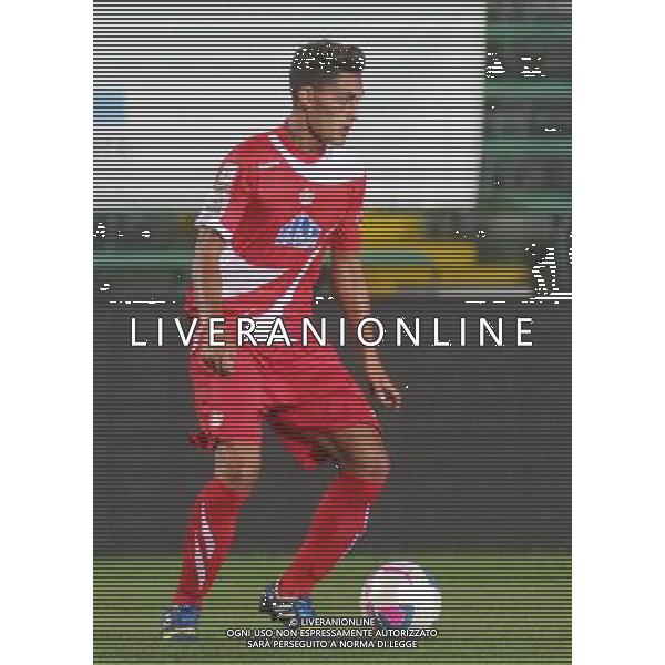 bergamo, stadio atleti azzurri d\'italia, 08 settembre 2013, nella foto PIERLUIGI BASTONE ,ph.moro/ALDO LIVERANI