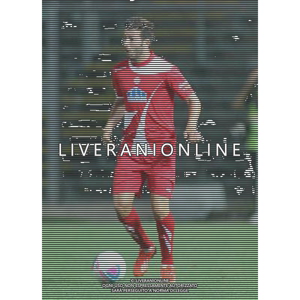 bergamo, stadio atleti azzurri d\'italia, 08 settembre 2013, nella foto MARCO MARTIN ,ph.moro/ALDO LIVERANI