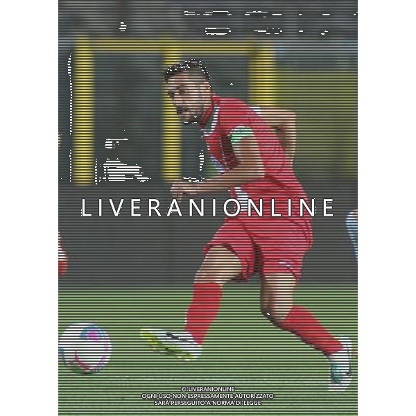 bergamo, stadio atleti azzurri d\'italia, 08 settembre 2013, nella foto ALESSANDRO CAMPO ,ph.moro/ALDO LIVERANI