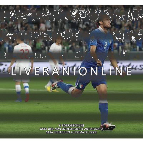 Qualificazioni ai Campionati Mondiali di Calcio Brasile FIFA 2014 Gruppo B Torino - 10.09.2013 Italia-Repubblica Ceca Nella Foto:chiellini esulta /Ph.Vitez-Ag. Aldo Liverani