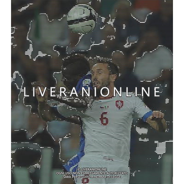 Qualificazioni ai Campionati Mondiali di Calcio Brasile FIFA 2014 Gruppo B Torino - 10.09.2013 Italia-Repubblica Ceca Nella Foto:balotelli-sivok /Ph.Vitez-Ag. Aldo Liverani