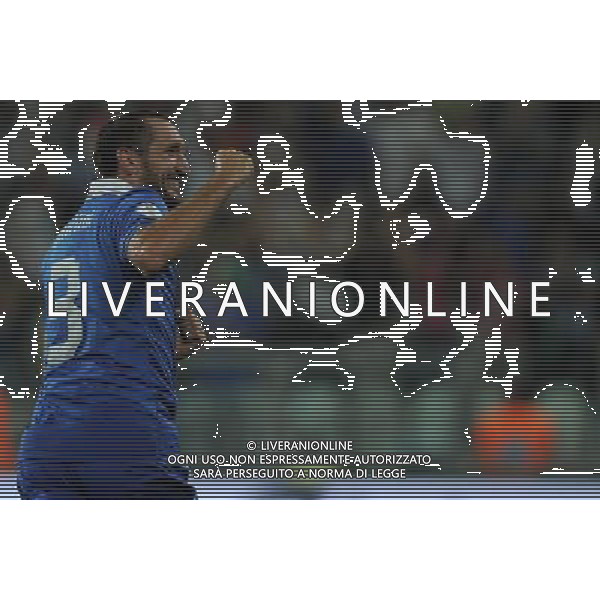 Qualificazioni ai Campionati Mondiali di Calcio Brasile FIFA 2014 Gruppo B Torino - 10.09.2013 Italia-Repubblica Ceca Nella Foto:chiellini esulta /Ph.Vitez-Ag. Aldo Liverani