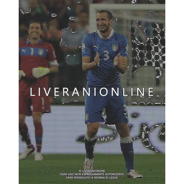 Qualificazioni ai Campionati Mondiali di Calcio Brasile FIFA 2014 Gruppo B Torino - 10.09.2013 Italia-Repubblica Ceca Nella Foto:chiellini esulta /Ph.Vitez-Ag. Aldo Liverani