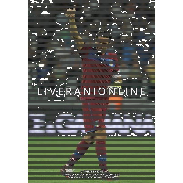 Qualificazioni ai Campionati Mondiali di Calcio Brasile FIFA 2014 Gruppo B Torino - 10.09.2013 Italia-Repubblica Ceca Nella Foto:buffon esulta a fine partita /Ph.Vitez-Ag. Aldo Liverani