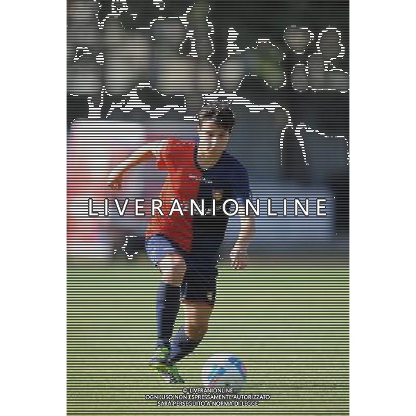 GUBBIO CALCIO 2013/2014 NELLA FOTO MORONI MICHELE FOTO ROBERTO SETTONCE-AG ALDO LIVERANI SAS 