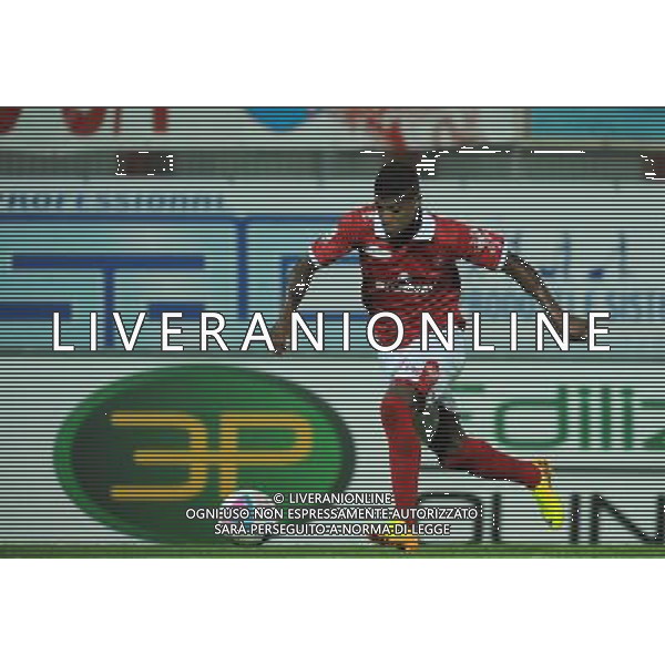PERUGIA CALCIO 2013/2014 NELLA FOTO AYRES FABIO FOTO SETTONCE ROBERTO-AG ALDO LIVERANI SAS