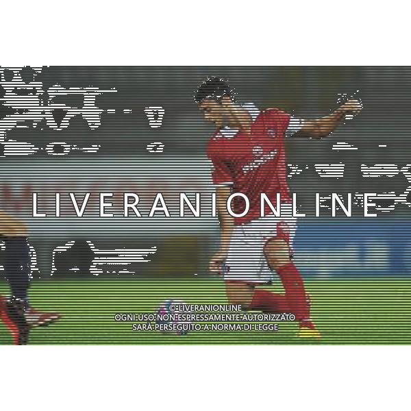 PERUGIA CALCIO 2013/2014 NELLA FOTO GOMES RIBEIRO FILIPE FOTO SETTONCE ROBERTO-AG ALDO LIVERANI SAS