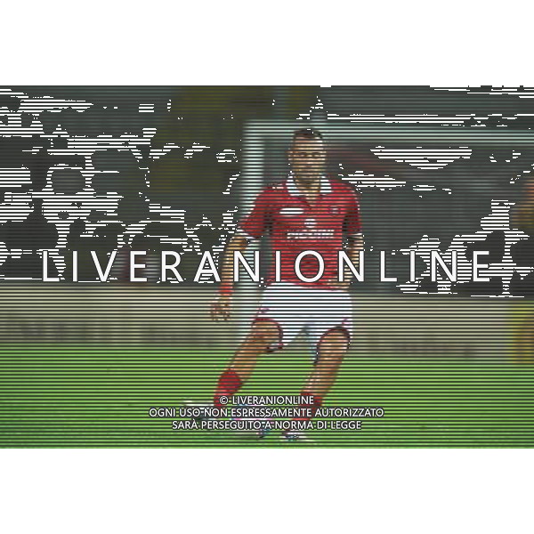 PERUGIA CALCIO 2013/2014 NELLA FOTO SCOGNAMIGLIO GENNARO FOTO SETTONCE ROBERTO-AG ALDO LIVERANI SAS