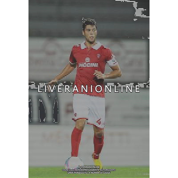 PERUGIA CALCIO 2013/2014 NELLA FOTO GOMES RIBEIRO FILIPE FOTO SETTONCE ROBERTO-AG ALDO LIVERANI SAS