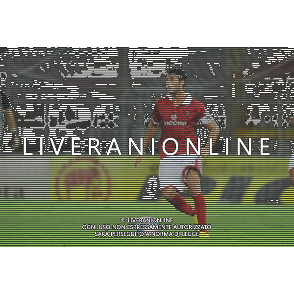 PERUGIA CALCIO 2013/2014 NELLA FOTO GOMES RIBEIRO FILIPE FOTO SETTONCE ROBERTO-AG ALDO LIVERANI SAS