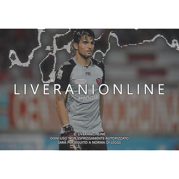 PERUGIA CALCIO 2013/2014 NELLA FOTO KOPRIVEC JAN FOTO SETTONCE ROBERTO-AG ALDO LIVERANI SAS