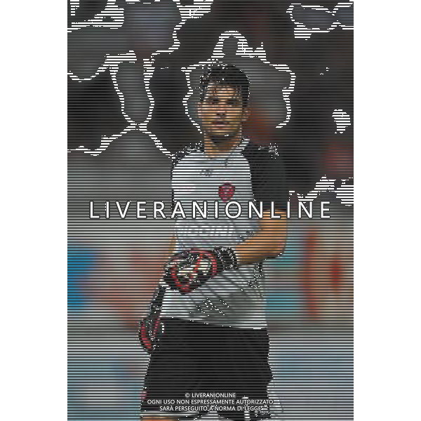 PERUGIA CALCIO 2013/2014 NELLA FOTO KOPREVIC JAN FOTO SETTONCE ROBERTO-AG ALDO LIVERANI SAS