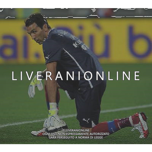 Qualificazioni ai Campionati Mondiali di Calcio Brasile FIFA 2014 Gruppo B Torino - 10.09.2013 Italia-Repubblica Ceca Nella Foto:Buffon Gianluigi /Ph.Vitez-Ag. Aldo Liverani