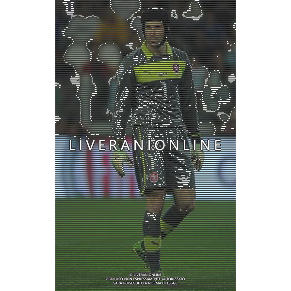 Qualificazioni ai Campionati Mondiali di Calcio Brasile FIFA 2014 Gruppo B Torino - 10.09.2013 Italia-Repubblica Ceca Nella Foto:Cech Petr /Ph.Vitez-Ag. Aldo Liverani