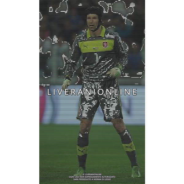 Qualificazioni ai Campionati Mondiali di Calcio Brasile FIFA 2014 Gruppo B Torino - 10.09.2013 Italia-Repubblica Ceca Nella Foto:Cech Petr /Ph.Vitez-Ag. Aldo Liverani