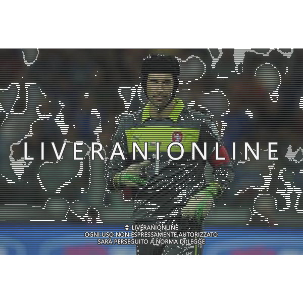 Qualificazioni ai Campionati Mondiali di Calcio Brasile FIFA 2014 Gruppo B Torino - 10.09.2013 Italia-Repubblica Ceca Nella Foto:Cech Petr /Ph.Vitez-Ag. Aldo Liverani