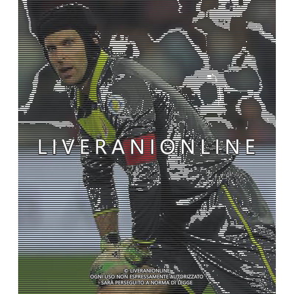Qualificazioni ai Campionati Mondiali di Calcio Brasile FIFA 2014 Gruppo B Torino - 10.09.2013 Italia-Repubblica Ceca Nella Foto:Cech Petr /Ph.Vitez-Ag. Aldo Liverani