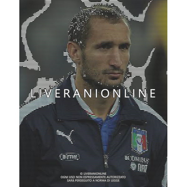 Qualificazioni ai Campionati Mondiali di Calcio Brasile FIFA 2014 Gruppo B Torino - 10.09.2013 Italia-Repubblica Ceca Nella Foto:Chiellini Giorgio /Ph.Vitez-Ag. Aldo Liverani