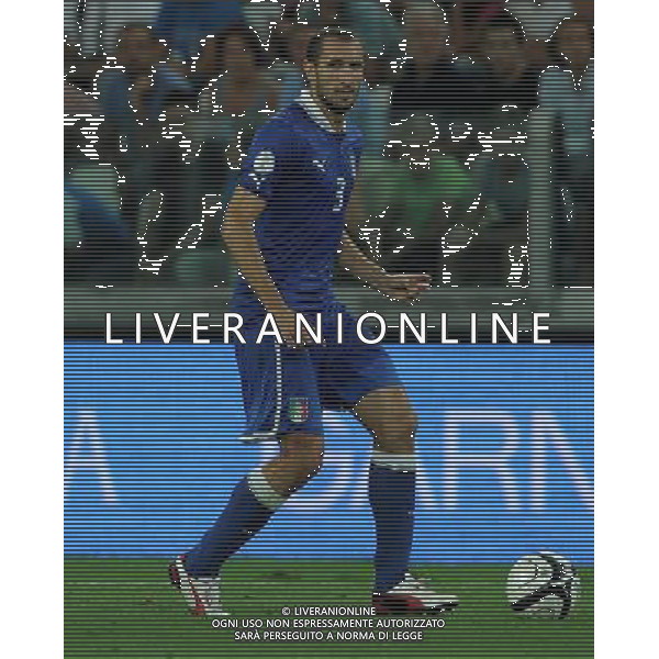 Qualificazioni ai Campionati Mondiali di Calcio Brasile FIFA 2014 Gruppo B Torino - 10.09.2013 Italia-Repubblica Ceca Nella Foto:Chiellini Giorgio /Ph.Vitez-Ag. Aldo Liverani