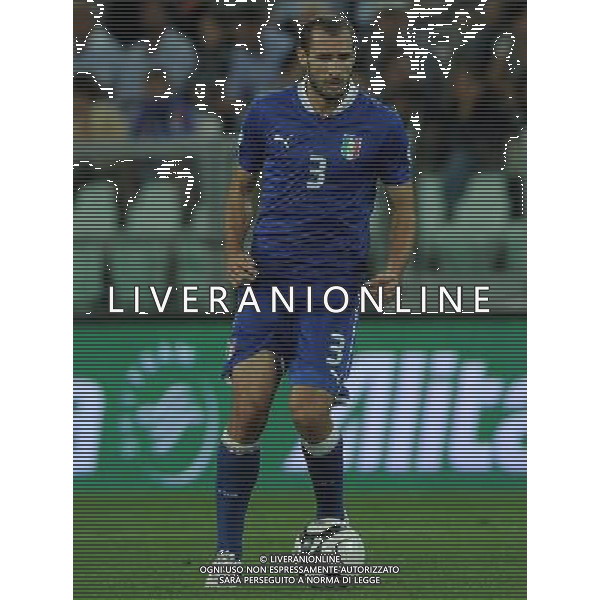 Qualificazioni ai Campionati Mondiali di Calcio Brasile FIFA 2014 Gruppo B Torino - 10.09.2013 Italia-Repubblica Ceca Nella Foto:Chiellini Giorgio /Ph.Vitez-Ag. Aldo Liverani