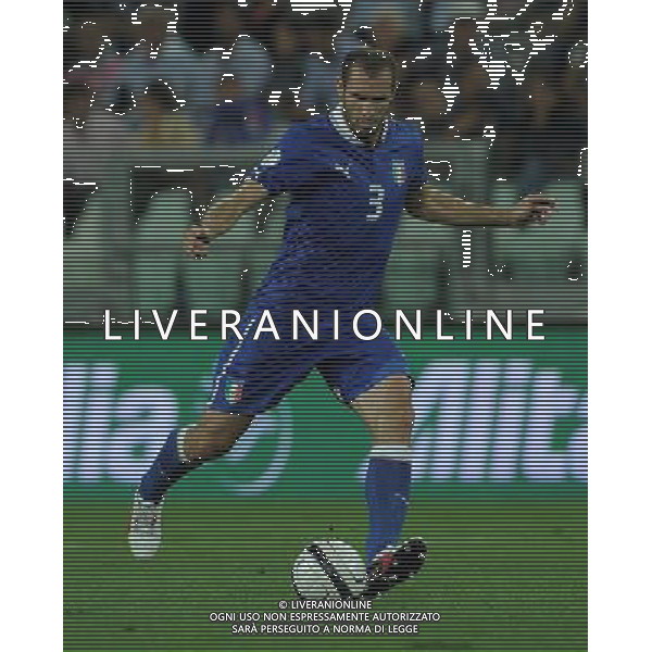 Qualificazioni ai Campionati Mondiali di Calcio Brasile FIFA 2014 Gruppo B Torino - 10.09.2013 Italia-Repubblica Ceca Nella Foto:Chiellini Giorgio /Ph.Vitez-Ag. Aldo Liverani