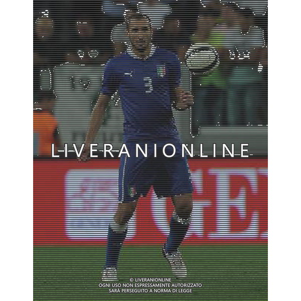 Qualificazioni ai Campionati Mondiali di Calcio Brasile FIFA 2014 Gruppo B Torino - 10.09.2013 Italia-Repubblica Ceca Nella Foto:Chiellini Giorgio /Ph.Vitez-Ag. Aldo Liverani