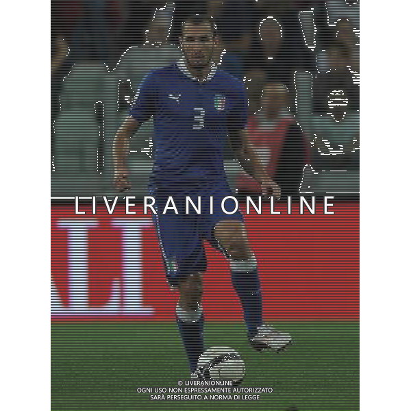 Qualificazioni ai Campionati Mondiali di Calcio Brasile FIFA 2014 Gruppo B Torino - 10.09.2013 Italia-Repubblica Ceca Nella Foto:Chiellini Giorgio /Ph.Vitez-Ag. Aldo Liverani