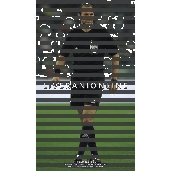 Qualificazioni ai Campionati Mondiali di Calcio Brasile FIFA 2014 Gruppo B Torino - 10.09.2013 Italia-Repubblica Ceca Nella Foto:Eriksson Jonas /Ph.Vitez-Ag. Aldo Liverani