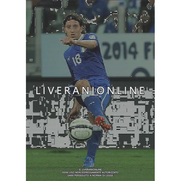 Qualificazioni ai Campionati Mondiali di Calcio Brasile FIFA 2014 Gruppo B Torino - 10.09.2013 Italia-Repubblica Ceca Nella Foto:Montolivo Riccardo /Ph.Vitez-Ag. Aldo Liverani