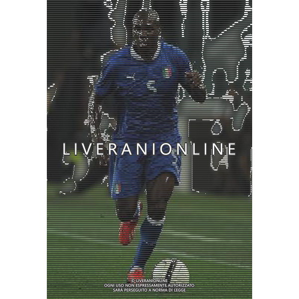 Qualificazioni ai Campionati Mondiali di Calcio Brasile FIFA 2014 Gruppo B Torino - 10.09.2013 Italia-Repubblica Ceca Nella Foto:Ogbonna Angelo /Ph.Vitez-Ag. Aldo Liverani