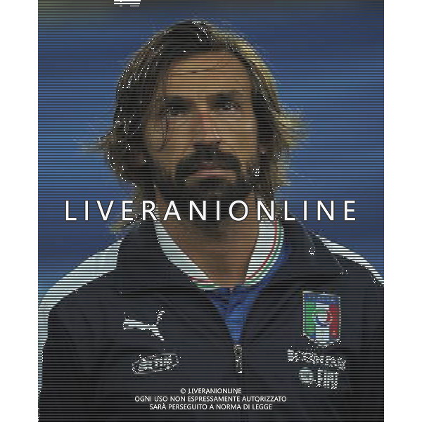 Qualificazioni ai Campionati Mondiali di Calcio Brasile FIFA 2014 Gruppo B Torino - 10.09.2013 Italia-Repubblica Ceca Nella Foto:Pirlo Andrea /Ph.Vitez-Ag. Aldo Liverani
