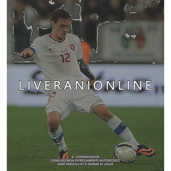 Qualificazioni ai Campionati Mondiali di Calcio Brasile FIFA 2014 Gruppo B Torino - 10.09.2013 Italia-Repubblica Ceca Nella Foto:Vanek Ondrej /Ph.Vitez-Ag. Aldo Liverani
