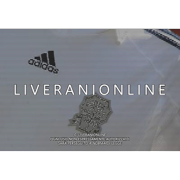 CASTEL RIGONE LO STEMMA DELLA SOCIETA\' AG ALDO LIVERANI SAS