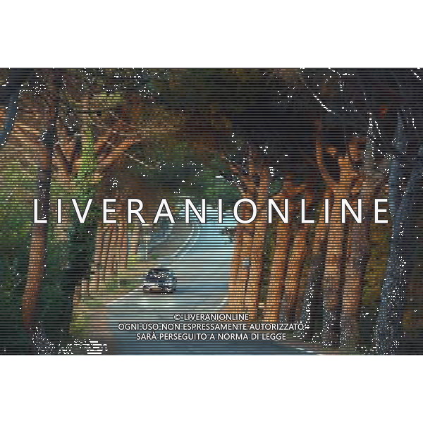 CASTEL RIGONE VIALE ARRIVO ALL STADIO AG ALDO LIVERANI SAS