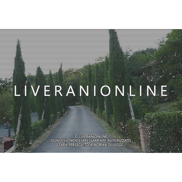 CASTEL RIGONE IL VIALE CHE PORTA ALLOS TADIO AG ALDO LIVERANI SAS