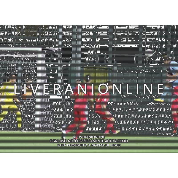 bergamo, stadio atleti azzurri d\'italia, nella foto PESENTI MASSIMILIANO GOL ,ph.moro/ALDO LIVERANI Albinoleffe vs CREMONESE campionato calcio lega pro 13 settembre 2013