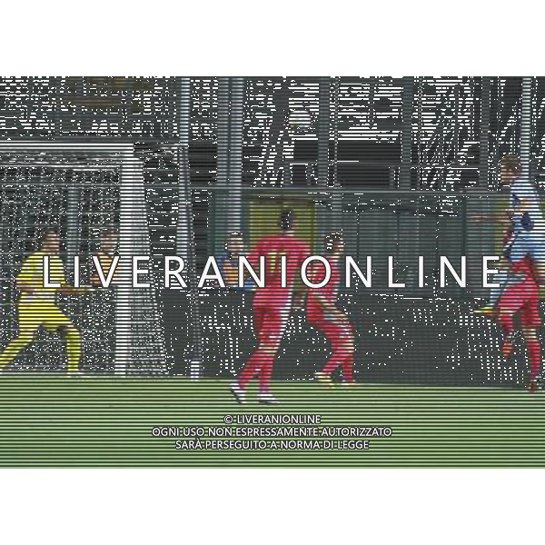 bergamo, stadio atleti azzurri d\'italia, nella foto PESENTI MASSIMILIANO GOL ,ph.moro/ALDO LIVERANI Albinoleffe vs CREMONESE campionato calcio lega pro 13 settembre 2013