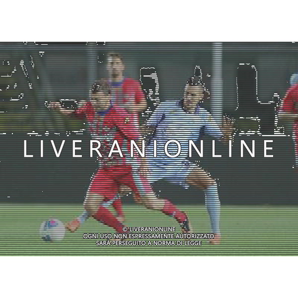 bergamo, stadio atleti azzurri d\'italia, nella foto TAUGOURDEAU ANTHONY ,ph.moro/ALDO LIVERANI Albinoleffe vs CREMONESE campionato calcio lega pro 13 settembre 2013