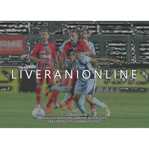 bergamo, stadio atleti azzurri d\'italia, 08 settembre 2013, nella foto GIRASOLE MICHAEL ,ph.moro/ALDO LIVERANI Albinoleffe vs CREMONESE campionato calcio lega pro 13 settembre 2013