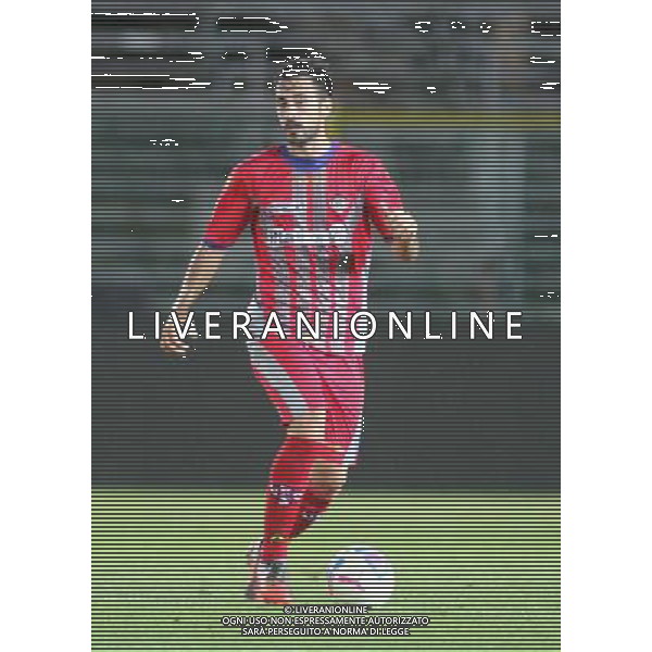 nella foto DARIO BERGAMELLI ,ph.moro/ALDO LIVERANI